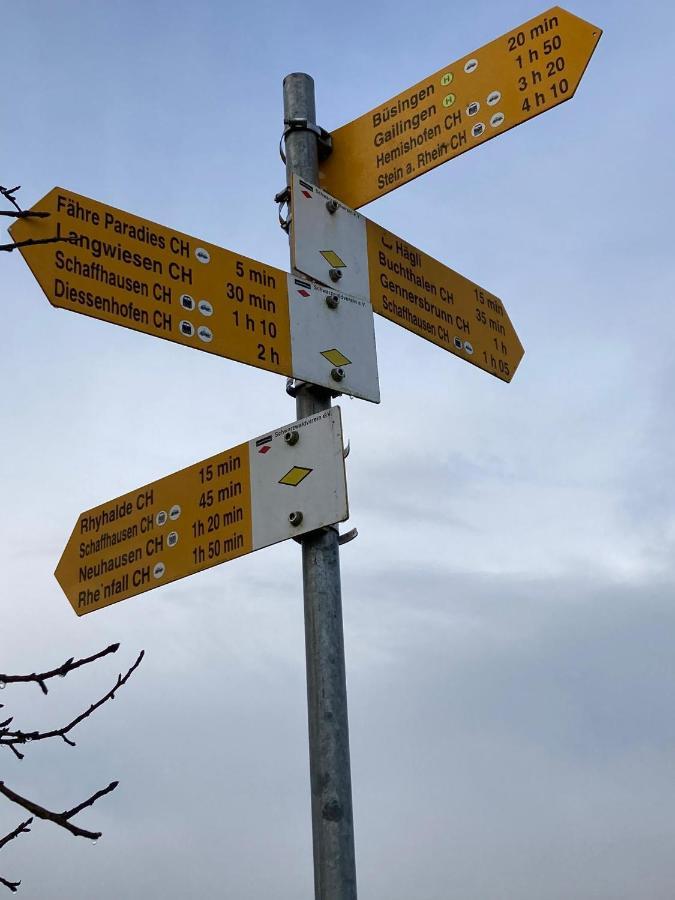 Buesingen Am Hochrhein Radfahren, Wandern, Natur Geniessen Luaran gambar