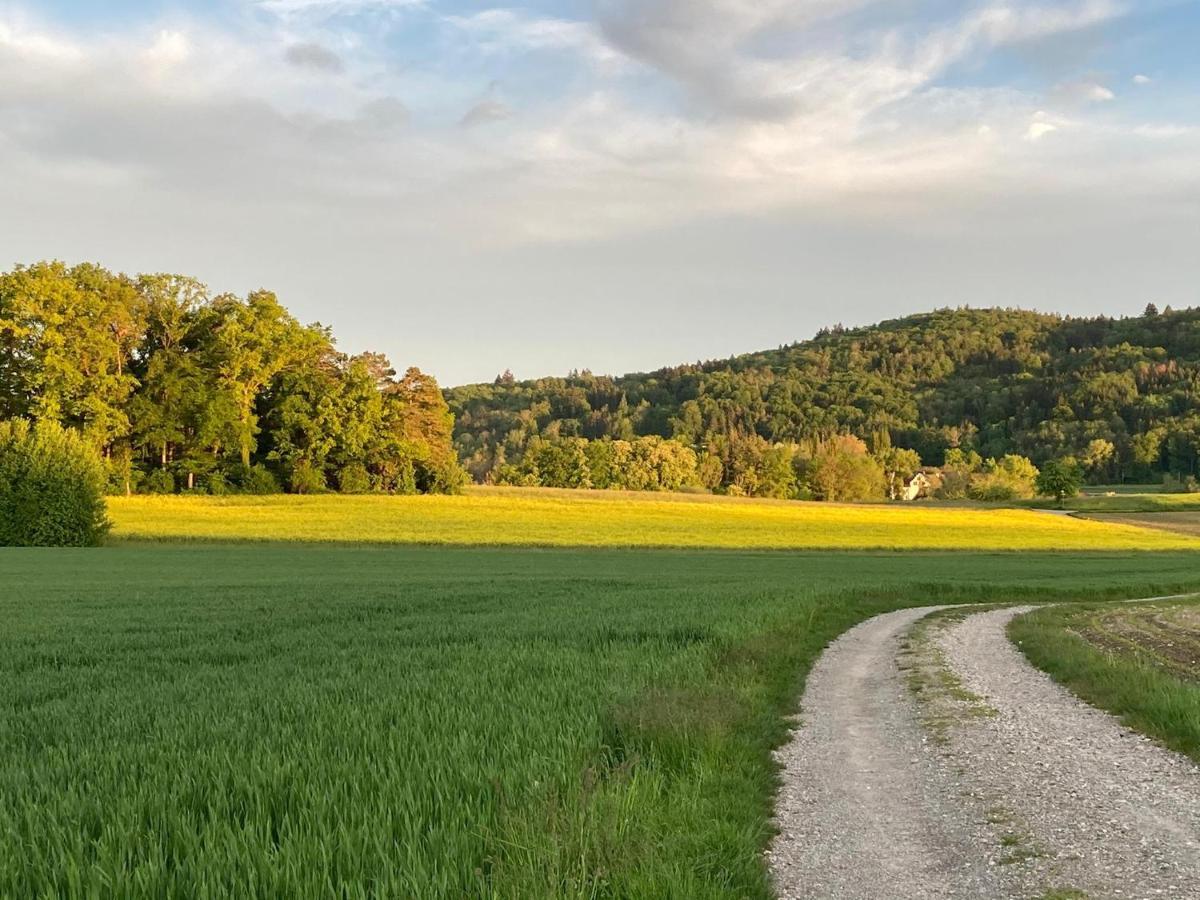 Buesingen Am Hochrhein Radfahren, Wandern, Natur Geniessen Luaran gambar