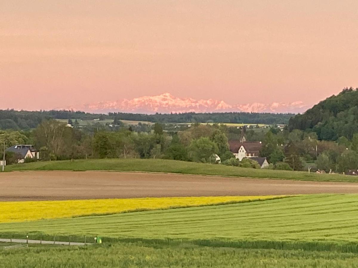 Buesingen Am Hochrhein Radfahren, Wandern, Natur Geniessen Luaran gambar