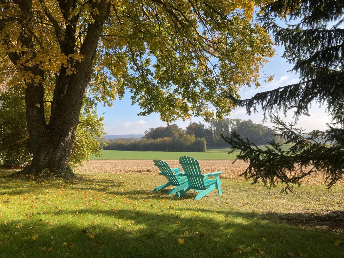 Buesingen Am Hochrhein Radfahren, Wandern, Natur Geniessen Luaran gambar